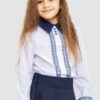 64eb3a45-3aba-11ee-8235-d8cb8a9c13c3 Блузка ошатна для дівчаток, колір біло-синій
